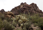photo thumbnail #9