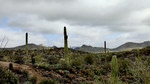 photo thumbnail #13