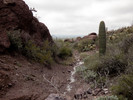 photo thumbnail #15