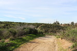 photo thumbnail #3