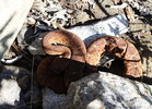photo thumbnail #6