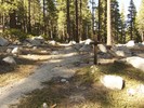 photo thumbnail #7