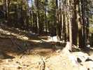 photo thumbnail #9