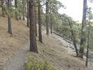 photo thumbnail #10