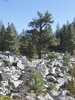 photo thumbnail #12