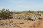 photo thumbnail #3
