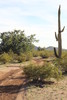 photo thumbnail #7
