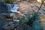 photo thumbnail #7