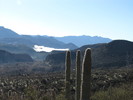 photo thumbnail #1