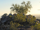 photo thumbnail #2