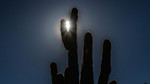 photo thumbnail #1