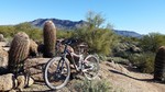 photo thumbnail #5
