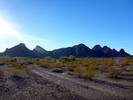 photo thumbnail #1