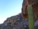 photo thumbnail #7