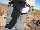 photo thumbnail #12