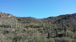 photo thumbnail #6