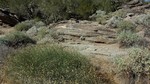 photo thumbnail #4