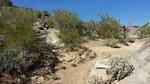 photo thumbnail #15