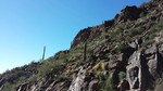 photo thumbnail #13