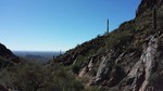 photo thumbnail #14