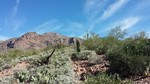 photo thumbnail #15