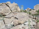 photo thumbnail #4