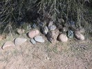 photo thumbnail #7