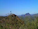 photo thumbnail #9
