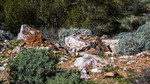 photo thumbnail #5