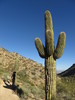 photo thumbnail #15