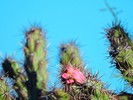 photo thumbnail #8