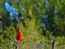 photo thumbnail #15