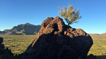 photo thumbnail #5