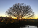 photo thumbnail #9
