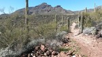 photo thumbnail #2