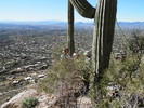 photo thumbnail #11