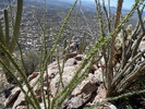 photo thumbnail #15