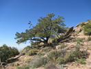 photo thumbnail #4