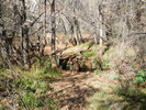 photo thumbnail #9