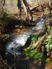 photo thumbnail #10