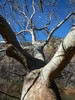 photo thumbnail #13