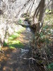 photo thumbnail #15