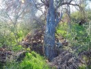 2015-02-08 :2: Granite Mountain Loop Trail - MSPN :: New2hyk