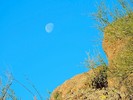 photo thumbnail #11