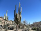 photo thumbnail #8