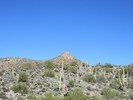 photo thumbnail #10
