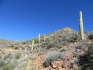 photo thumbnail #13