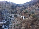 photo thumbnail #1