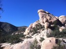 photo thumbnail #2