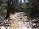 photo thumbnail #4